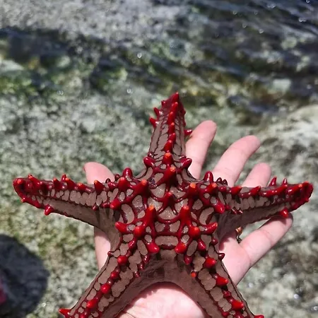 Appartamento Casa Lina